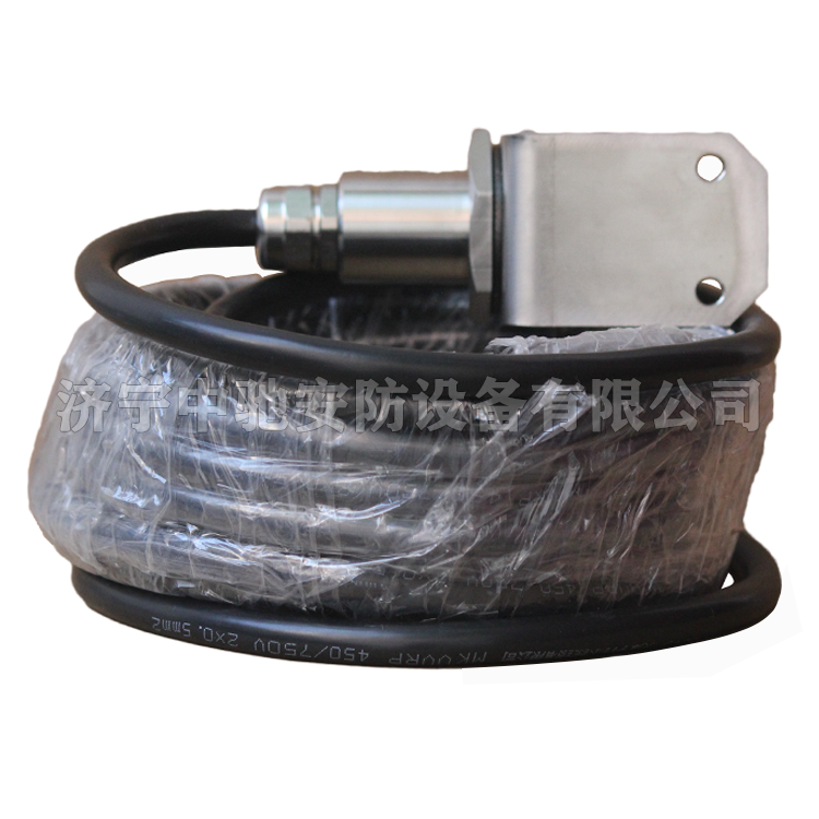 天津華寧GWH300-W礦用本質**型溫度傳感器 (1).png
